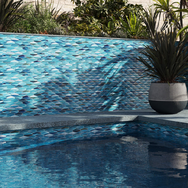 Shimmering Oasis